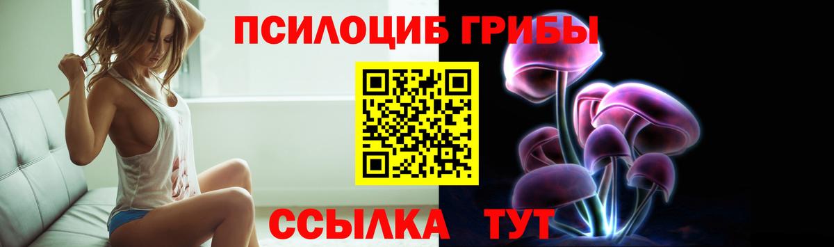 Ижевск  Псилоцибиновые грибы прущие грибы  Вход с VPN 